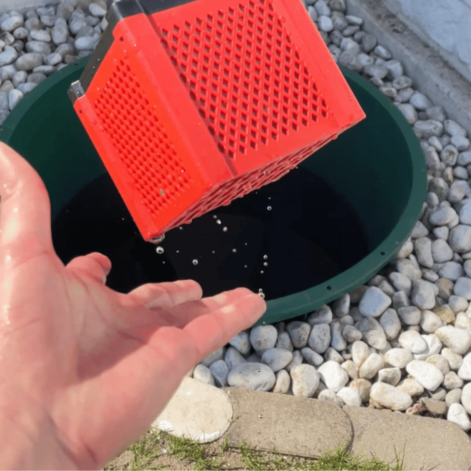 Frisches Wasser für glückliche, gesunde Pferde!